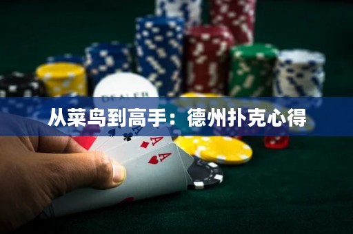 從菜鳥到高手：德州撲克心得