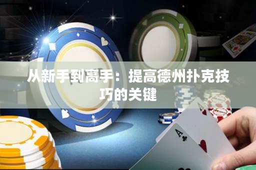 從新手到高手：提高德州撲克技巧的關鍵
