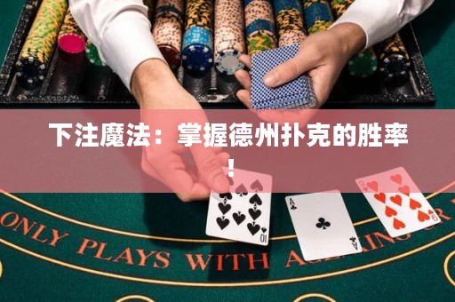 下注魔法：掌握德州撲克的勝率！
