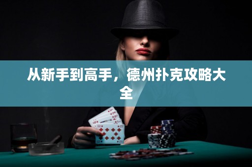 從新手到高手，德州撲克攻略大全