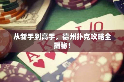 從新手到高手，德州撲克攻略全揭秘！