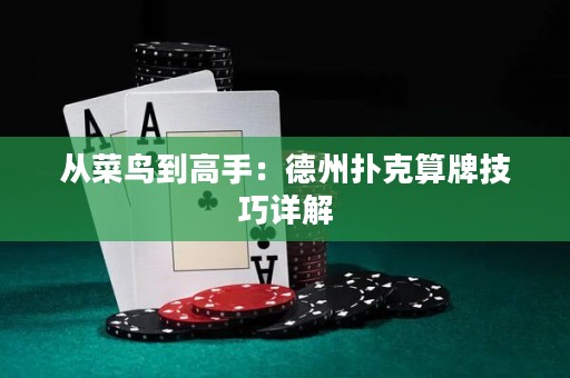 從菜鳥(niǎo)到高手：德州撲克算牌技巧詳解