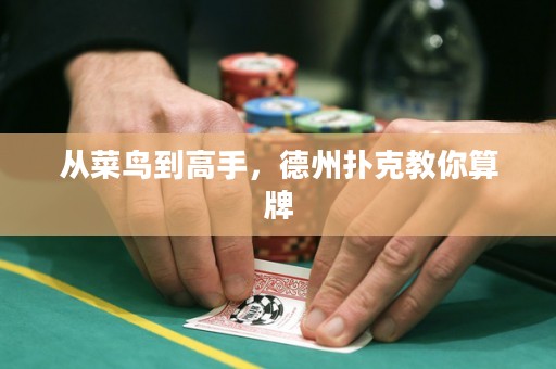 從菜鳥到高手，德州撲克教你算牌