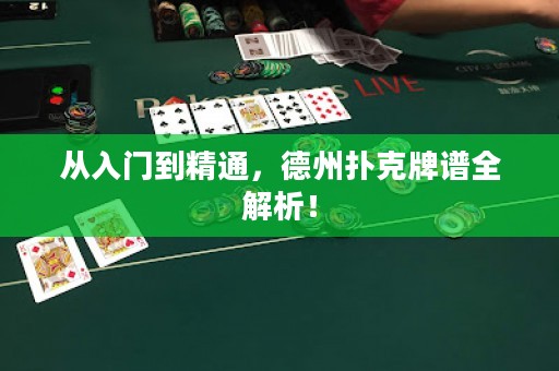 從入門到精通，德州撲克牌譜全解析！