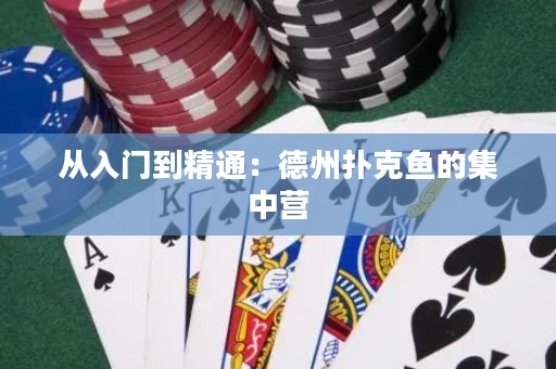 從入門到精通：德州撲克魚的集中營(yíng)