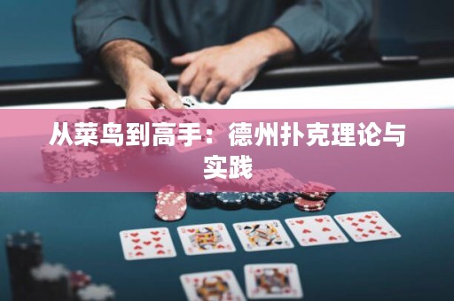 從菜鳥到高手：德州撲克理論與實踐