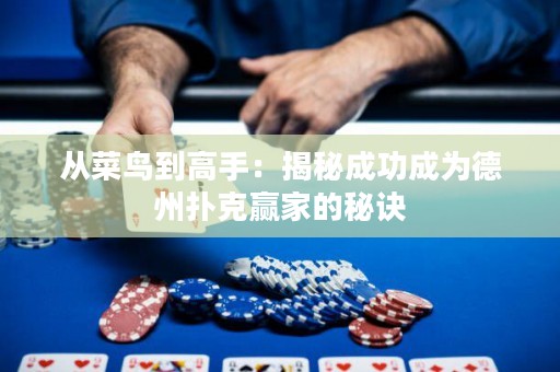 從菜鳥到高手：揭秘成功成為德州撲克贏家的秘訣