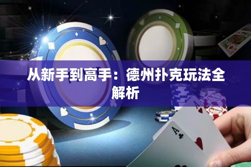 從新手到高手：德州撲克玩法全解析