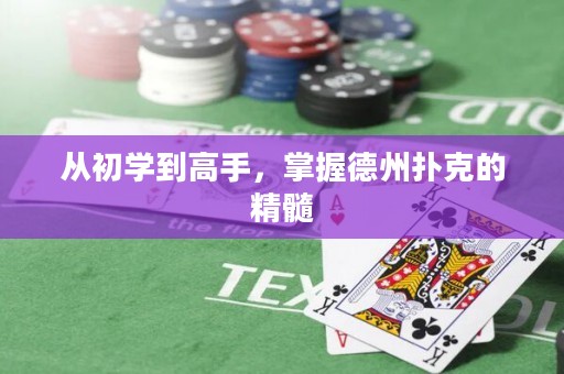 從初學到高手，掌握德州撲克的精髓