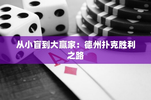 從小盲到大贏家：德州撲克勝利之路