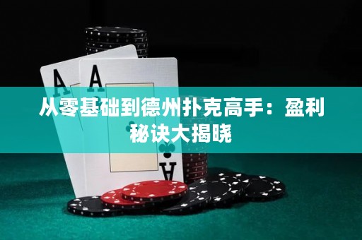 從零基礎(chǔ)到德州撲克高手：盈利秘訣大揭曉