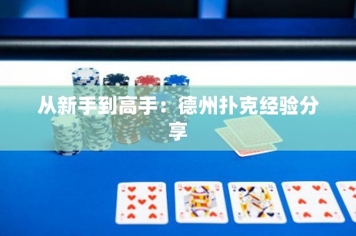 從新手到高手：德州撲克經(jīng)驗分享