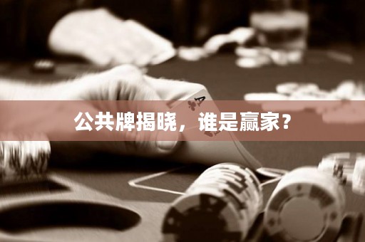 公共牌揭曉，誰(shuí)是贏家？