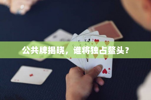 公共牌揭曉，誰將獨占鰲頭？