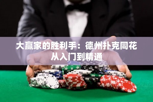 大贏家的勝利手：德州撲克同花從入門到精通