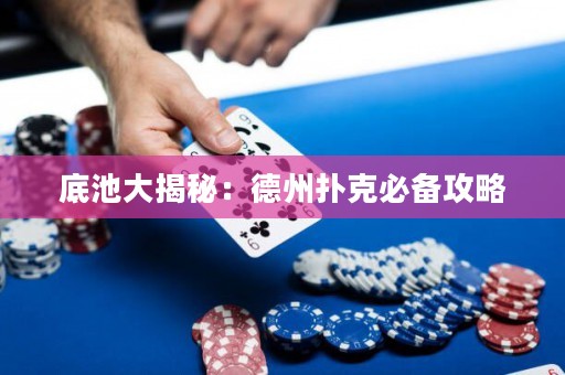 底池大揭秘：德州撲克必備攻略
