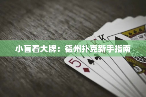小盲看大牌：德州撲克新手指南