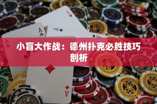 小盲大作戰(zhàn)：德州撲克必勝技巧剖析