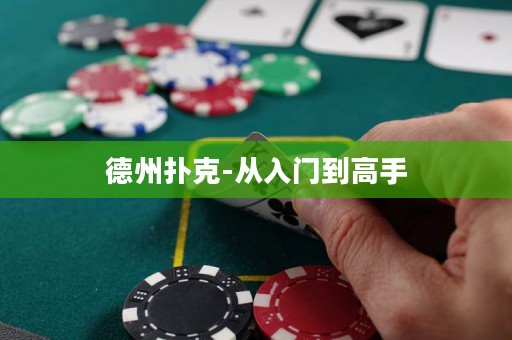 德州撲克-從入門到高手