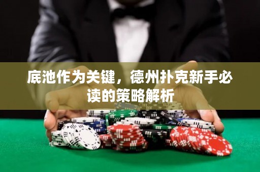 底池作為關(guān)鍵，德州撲克新手必讀的策略解析