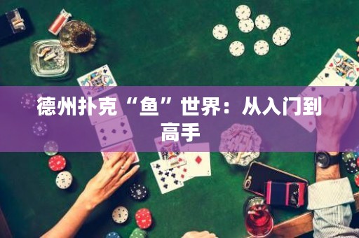 德州撲克“魚”世界：從入門到高手