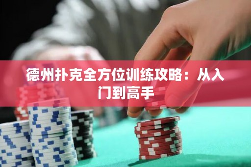 德州撲克全方位訓(xùn)練攻略：從入門(mén)到高手