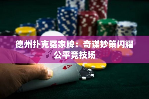 德州撲克冤家牌：奇謀妙策閃耀公平競技場