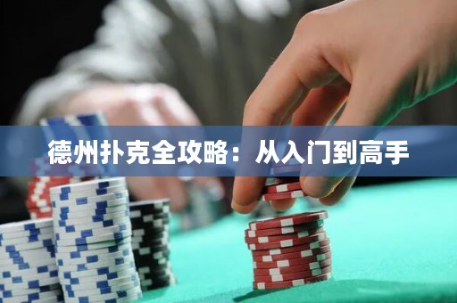 德州撲克全攻略：從入門到高手