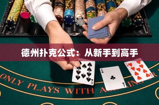 德州撲克公式：從新手到高手