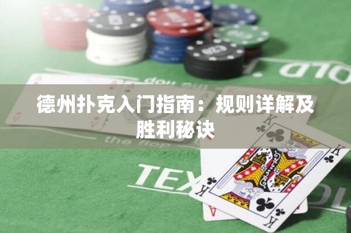 德州撲克入門(mén)指南：規(guī)則詳解及勝利秘訣