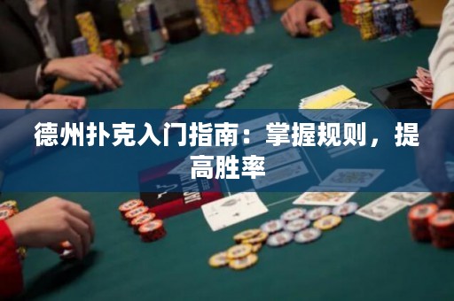 德州撲克入門指南：掌握規(guī)則，提高勝率