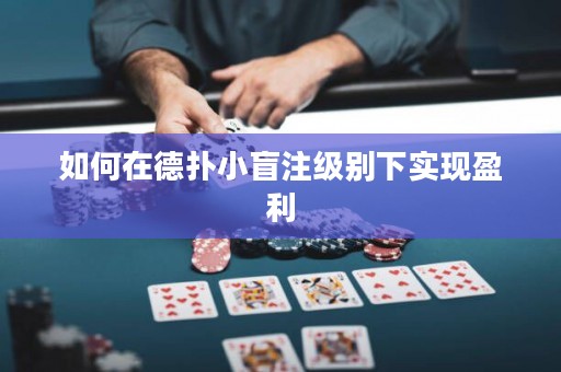 如何在德?lián)湫∶ぷ⒓墑e下實現(xiàn)盈利