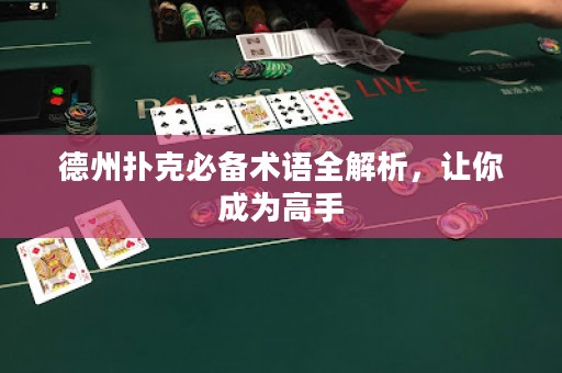 德州撲克必備術(shù)語全解析，讓你成為高手