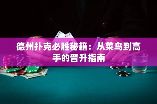 德州撲克必勝秘籍：從菜鳥到高手的晉升指南