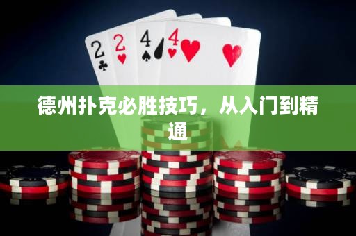德州撲克必勝技巧，從入門到精通