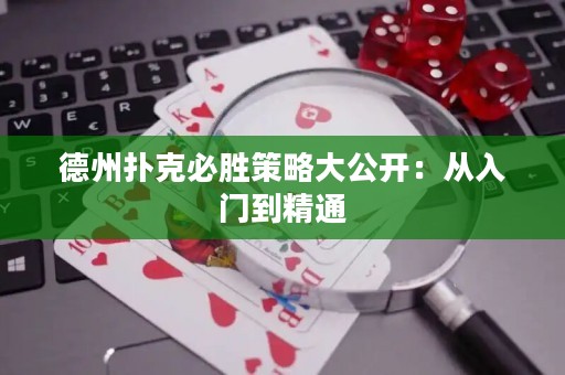 德州撲克必勝策略大公開：從入門到精通