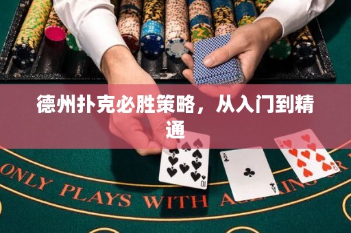 德州撲克必勝策略，從入門到精通