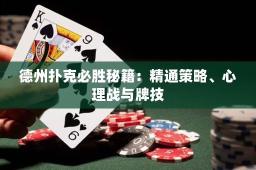 德州撲克必勝秘籍：精通策略、心理戰(zhàn)與牌技