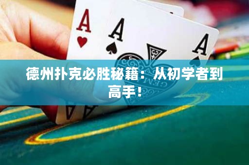 德州撲克必勝秘籍：從初學(xué)者到高手！