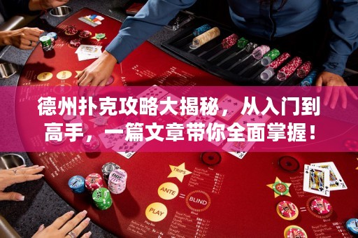 德州撲克攻略大揭秘，從入門(mén)到高手，一篇文章帶你全面掌握！