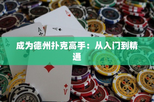 成為德州撲克高手：從入門到精通