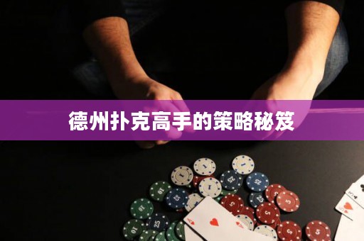 德州撲克高手的策略秘笈