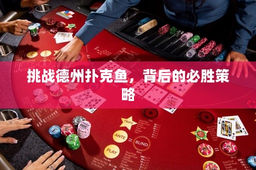 挑戰(zhàn)德州撲克魚，背后的必勝策略