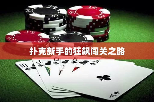 撲克新手的狂飆闖關(guān)之路