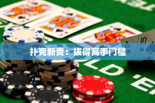 撲克新貴：拔得高手門檻