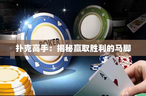 撲克高手：揭秘贏取勝利的馬腳