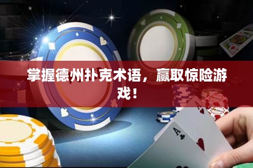掌握德州撲克術(shù)語，贏取驚險游戲！
