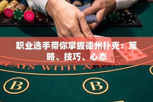 職業(yè)選手帶你掌握德州撲克：策略、技巧、心態(tài)
