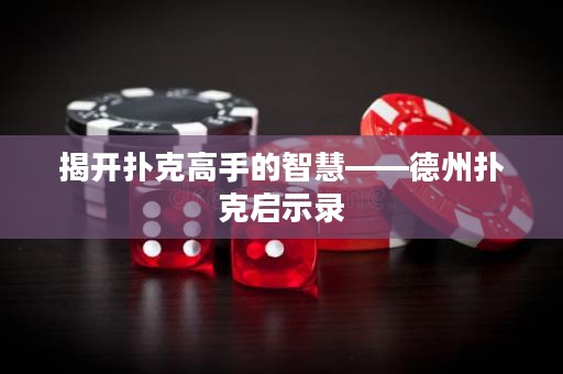 揭開撲克高手的智慧——德州撲克啟示錄