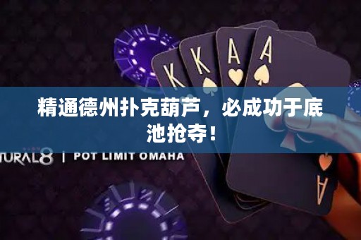 精通德州撲克葫蘆，必成功于底池?fù)寠Z！